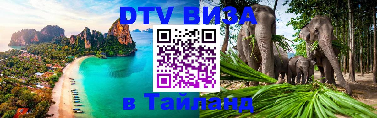 Сколько стоит DTV виза — актуальные цены, оформление даже без документов - София  07.12.2025 